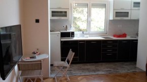 Apartment Bozovic